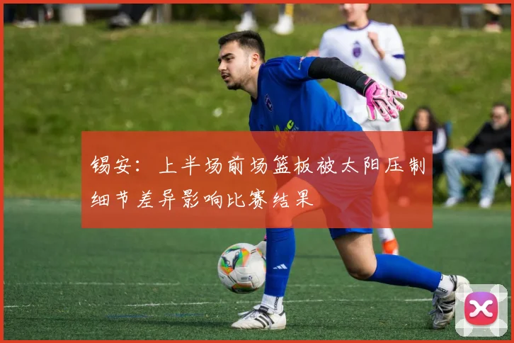 锡安：上半场前场篮板被太阳压制细节差异影响比赛结果