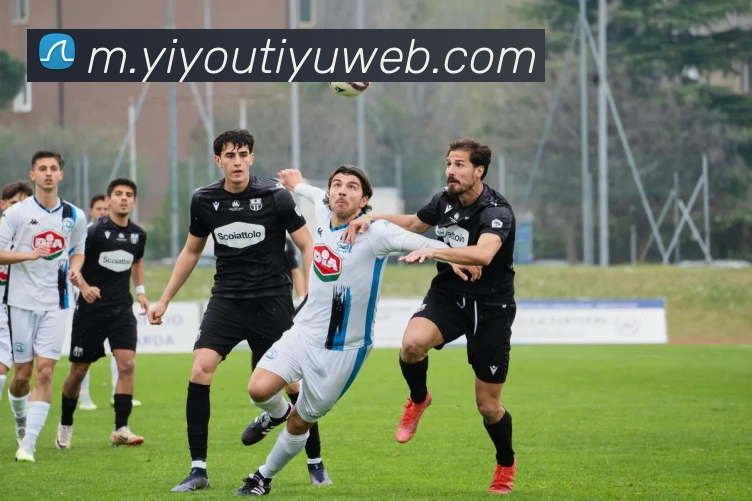 易游体育平台生态图